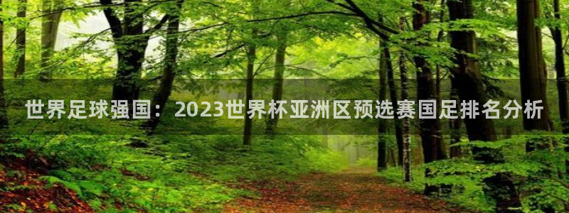欧洲区世界杯预选赛：世界足球强国：2023世界杯亚洲区预选赛国足排名分析