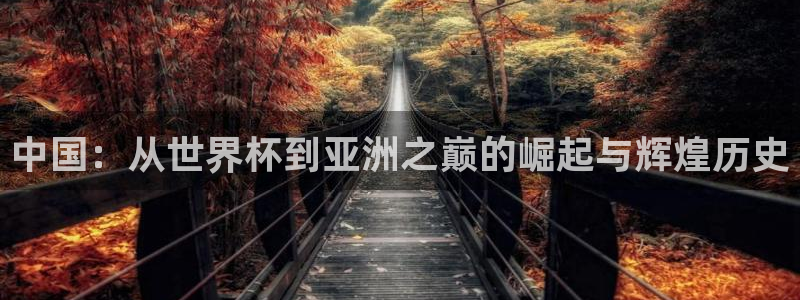 世界杯2026预选赛：中国：从世界杯到亚洲之巅的崛起与辉煌历史