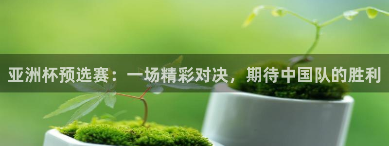 世界杯足球：亚洲杯预选赛：一场精彩对决，期待中国队的胜利
