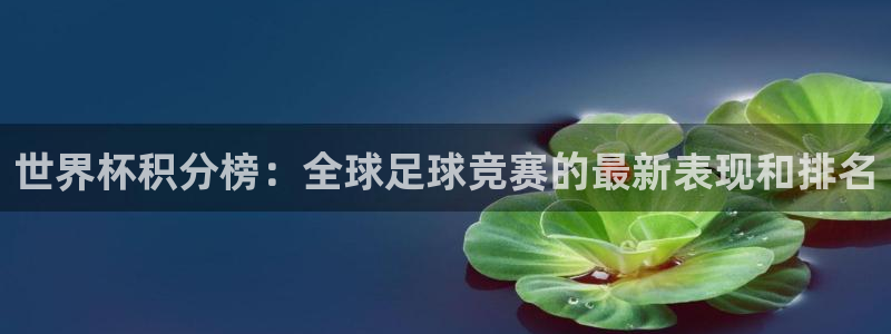 世界杯亚洲区预选赛赛程表：世界杯积分榜：全球足球竞赛的最新表现和排名