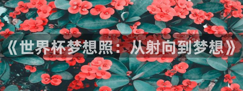 2026世界杯赛制：《世界杯梦想照：从射向到梦想》