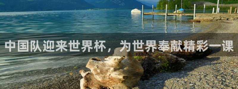 世界杯足球2026：中国队迎来世界杯，为世界奉献精彩一课