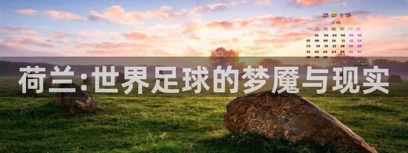 世界杯2026预选赛：荷兰:世界足球的梦魇与现实