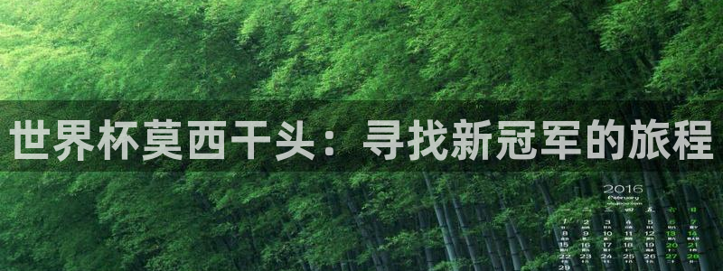 世界杯直播在线观看入口：世界杯莫西干头：寻找新冠军的旅程