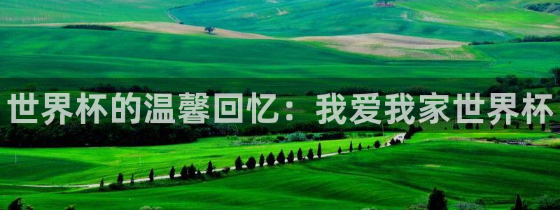 2026世亚预赛赛程表：世界杯的温馨回忆：我爱我家世界杯