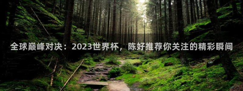 世界杯比赛直播：全球巅峰对决：2023世界杯，陈好推荐你关注的精彩瞬间