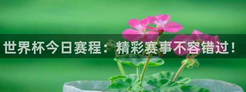 世界杯视频：世界杯今日赛程：精彩赛事不容错过！