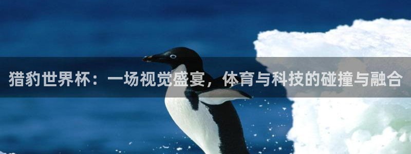 世界杯欧洲区世预赛赛程：猎豹世界杯：一场视觉盛宴，体育与科技的碰撞与融合