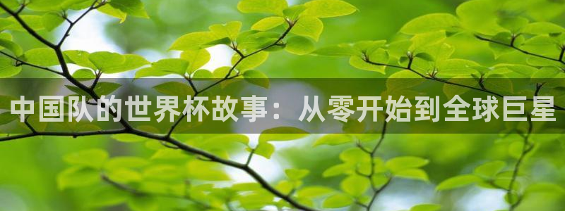 世界杯亚洲预选赛18强赛程：中国队的世界杯故事：从零开始到全球巨星