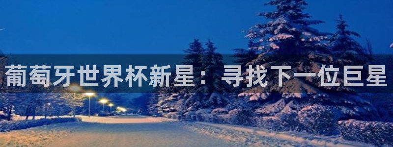 世界杯足球赛2026赛程时间：葡萄牙世界杯新星：寻找下一位巨星