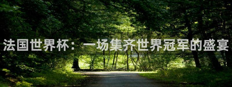 2026年世界杯赛程：法国世界杯：一场集齐世界冠军的盛宴