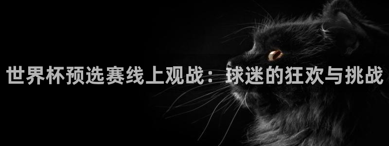 世界杯球队排名：世界杯预选赛线上观战：球迷的狂欢与挑战