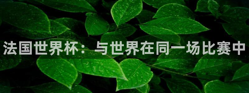2006年世界杯：法国世界杯：与世界在同一场比赛中