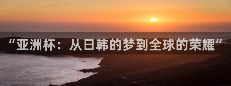 世界杯预选赛亚洲区积分榜：“亚洲杯：从日韩的梦到全球的荣耀”