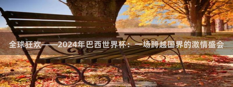 世界杯决赛圈球队：全球狂欢——2024年巴西世界杯：一场跨越国界的激情盛会