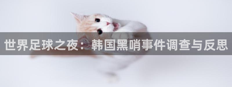 世预赛免费直播入口：世界足球之夜：韩国黑哨事件调查与反思